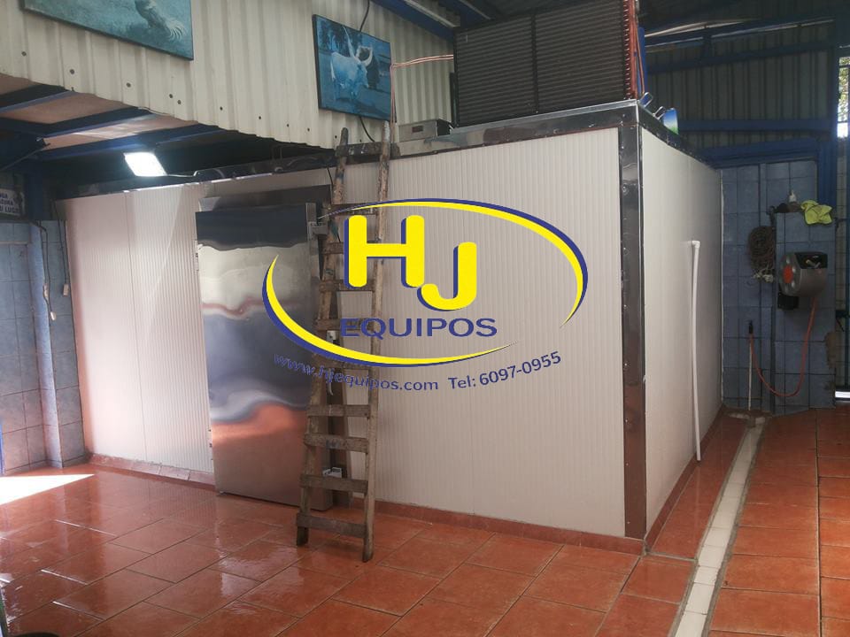 Cuarto mantenimiento y congelacion